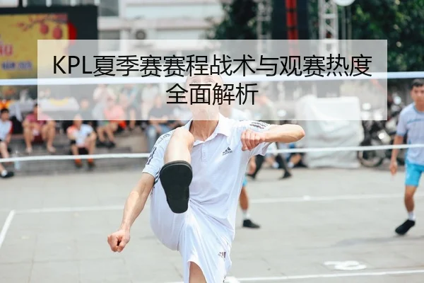 KPL夏季赛赛程战术与观赛热度全面解析