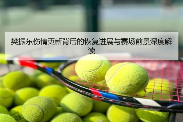 樊振东伤情更新背后的恢复进展与赛场前景深度解读