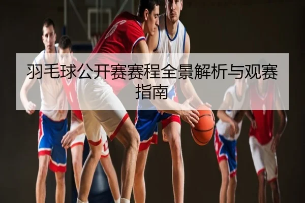 羽毛球公开赛赛程全景解析与观赛指南