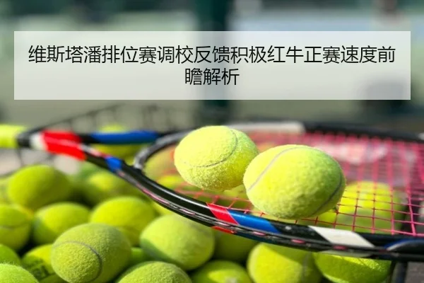 维斯塔潘排位赛调校反馈积极红牛正赛速度前瞻解析